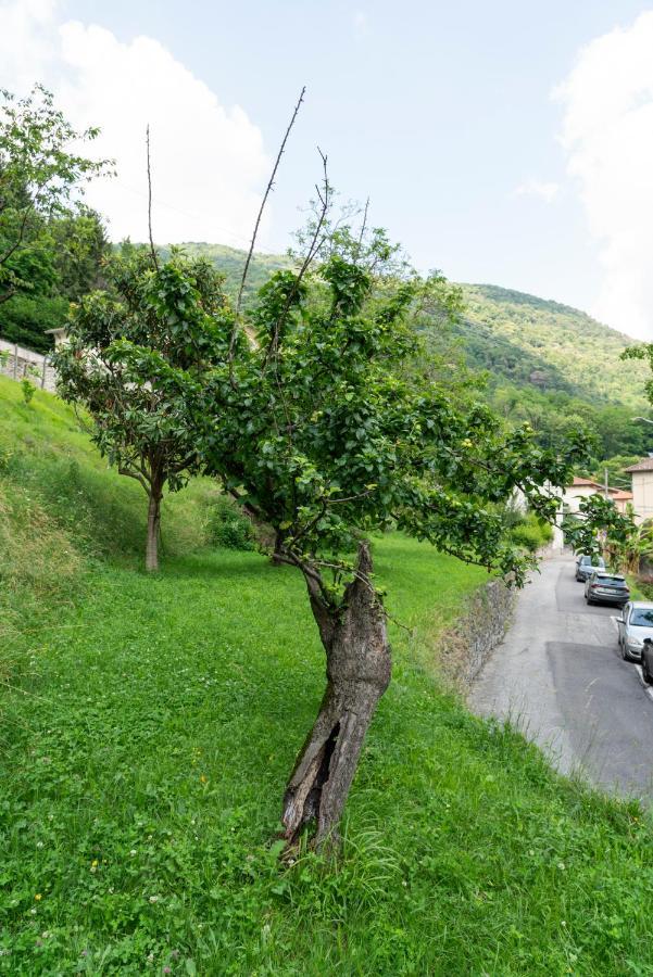 Lago Maggiore A 10 Minuti "Cascina Lavanda" Casalzuigno Exterior foto